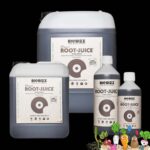 BioBizz Root Juice - Dünger