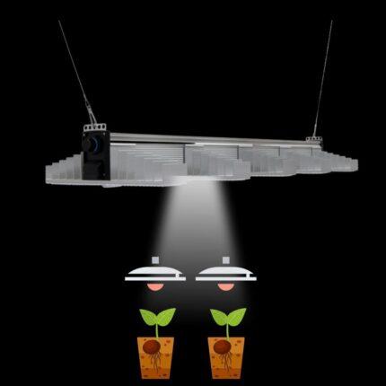 SANlight EVO 5-150 320 W: Innovative LED-Technologie für Pflanzenzucht.