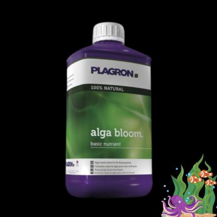 Plagron Alga Bloom Blütedünger für Homegrow.