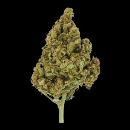 Royal Queen Seeds Lemon Shining Silver Haze