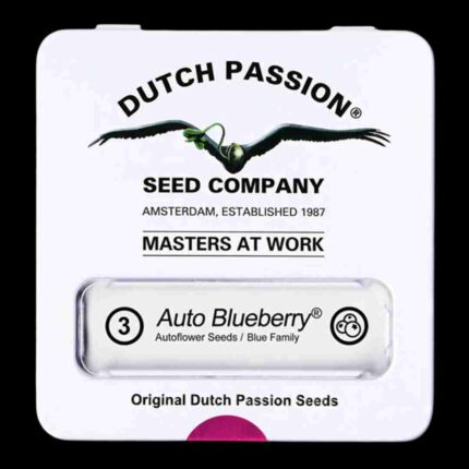 Dutch Passion Auto Blueberry