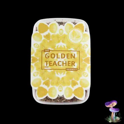 Magic Mushroom Golden Teacher Growkit