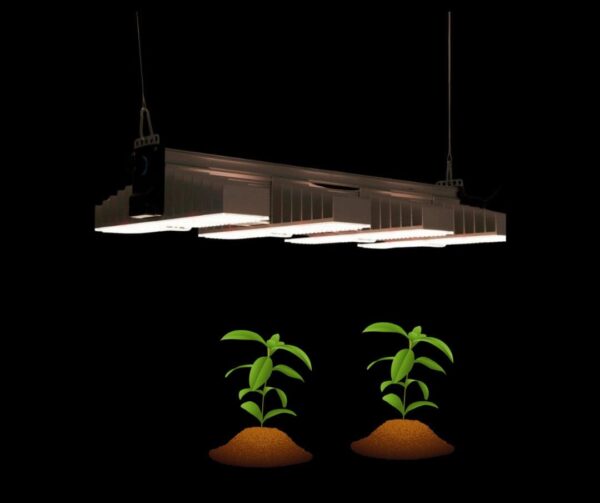 Pflanzen Beleuchtung Indoor-Growing