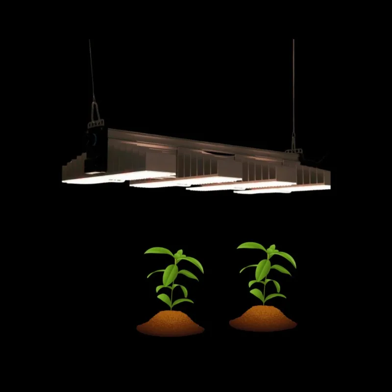 Pflanzen Led Beleuchtung - Homegrow