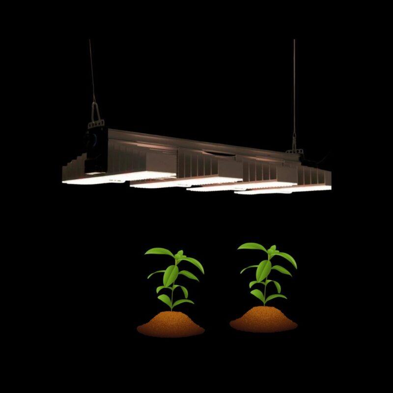 Online Grow Shop: Sanlight pflanzen Led