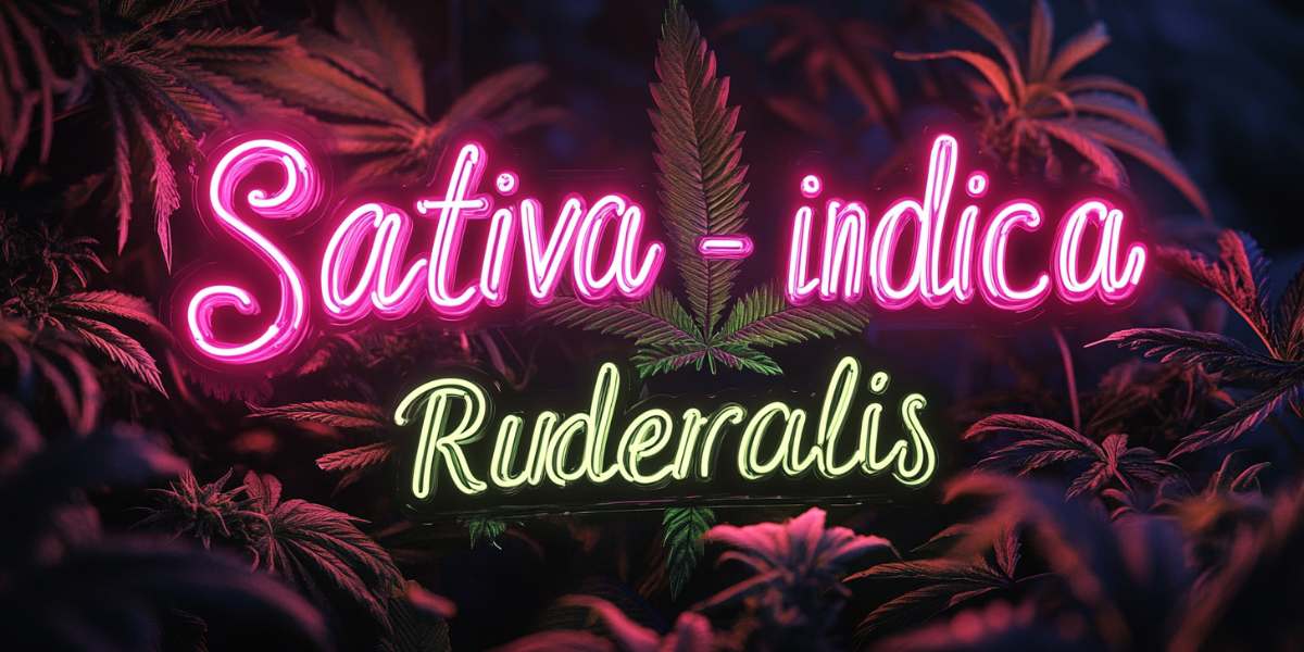Cannabis Sorten: Indica, Sativa und Ruderalis