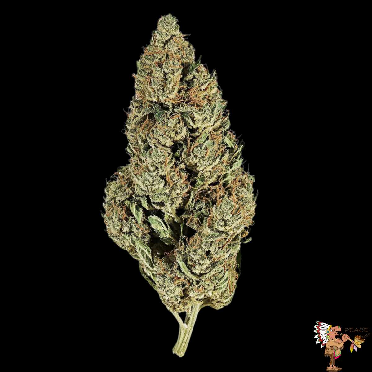Jack Herer Cannabis Blueten