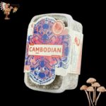 Cambodian Magic Mushroom Growkit