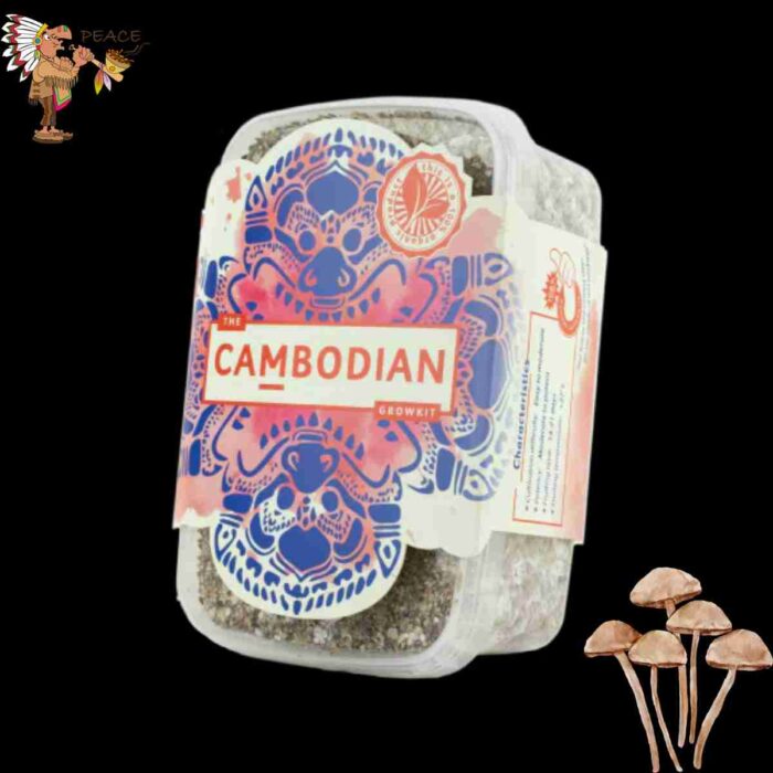 Cambodian Magic Mushroom Growkit