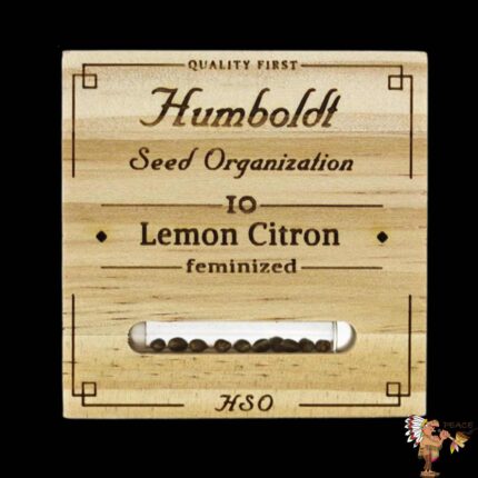 Lemon Citron | Humboldt Seeds - Cannabissamen