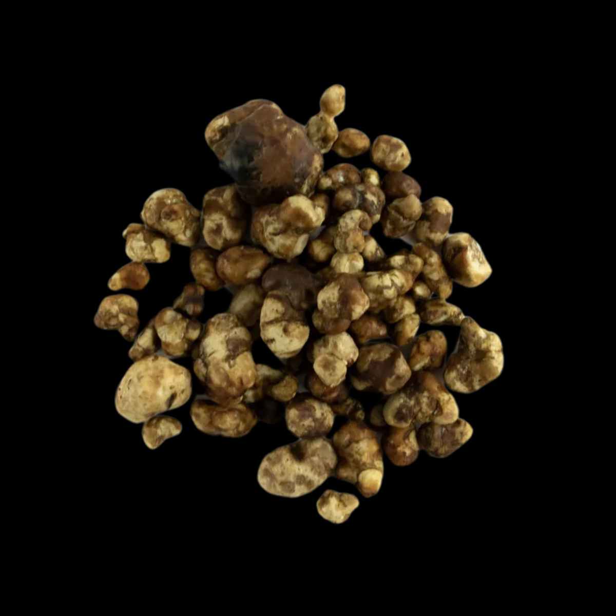 Galindoi Magische Trüffel