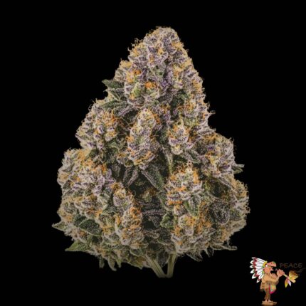 Kush Crasher Strains