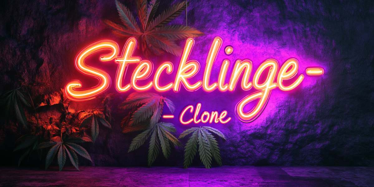 Cannabis-Stecklinge