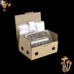 Jack Frost Mushroom Growkit