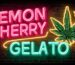 Lemon Cherry Gelato Strains