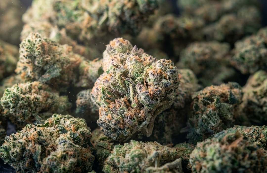 Haymaker Haze