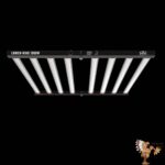 Lumen King 1000W LED