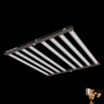 Lumen King 1000W LED